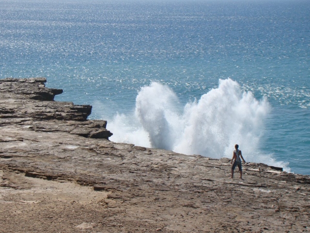  Ondas de Fuerteventura 